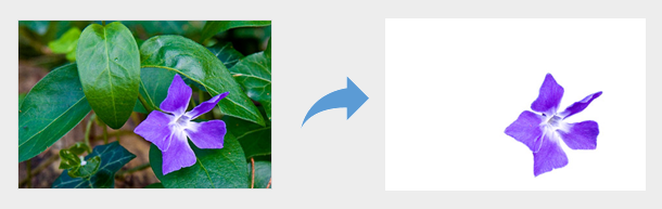 Background removal feature