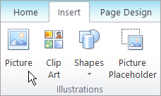 Selecting Picture on the Insert tab