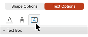 Text options tab text box selected.