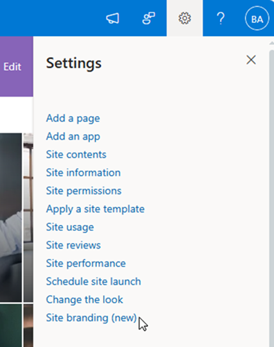 screenshot of site branding entry